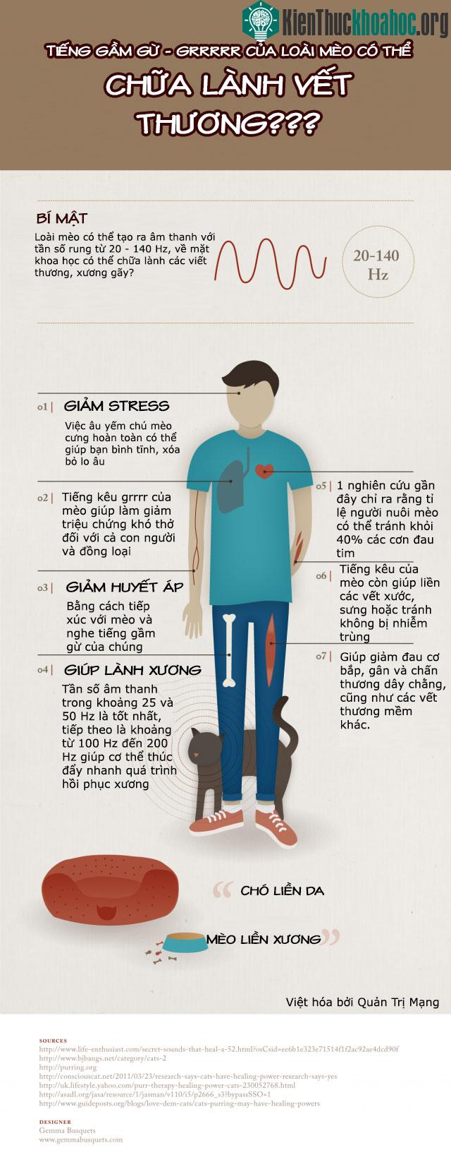 Tiềng gầm gừ của mèo giúp lành vết thương