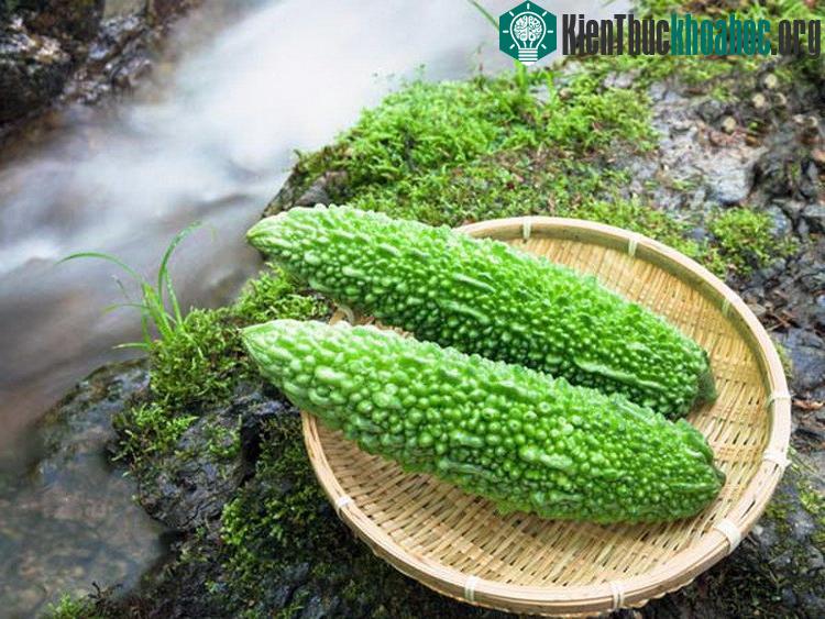 Mướp đắng,Cải xoăn,Bột nghệ,Ca cao không đường,Hạt thì là,Hạt vừng