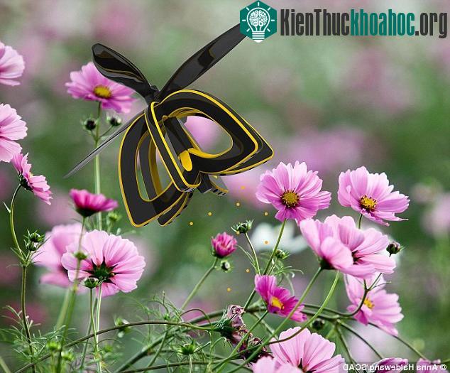 Robot ong này có tên gọi là Plan Bee.,Anna muốn thiết kế một con robot có thể thực hiện chức năng thụ phấn giống như ong chứ không phải một con robot hình con ong.