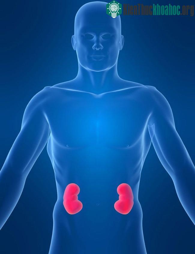 Di truyền là một trong những lí do gây ra bệnh, tuy trường hợp này ít khi gặp.