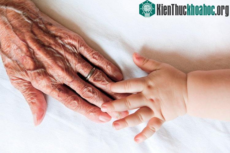 Vượt qua Nhật Bản, Hàn Quốc nhiều khả năng trở thành quốc gia sống lâu nhất thế giới. (Ảnh: financialtribune.com).
