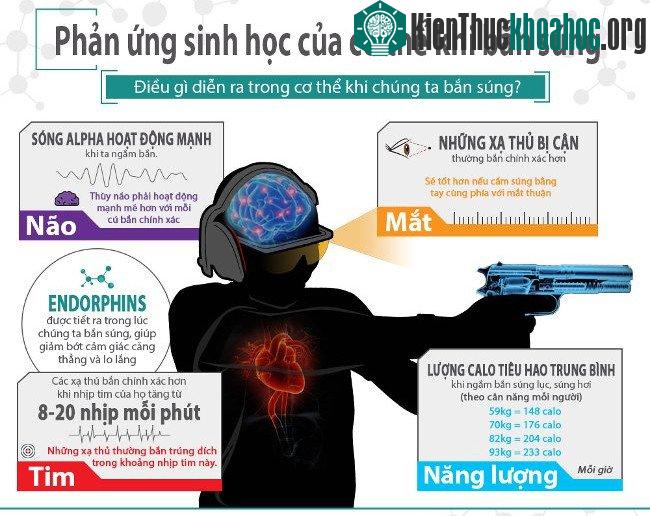 Trong khi bắn súng, não bộ sẽ giải phóng dopamine và endorphin. (Nguồn ảnh: tinhte).