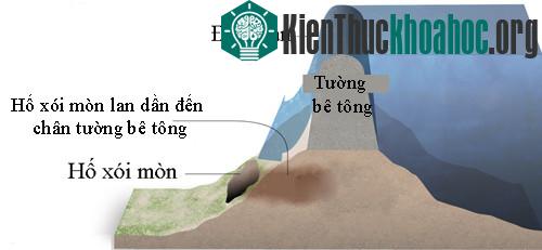 Hố xói mòn có thể làm sụp đổ tường bê tông chắn đập nước, gây ra thảm họa. (Đồ họa: LATimes).