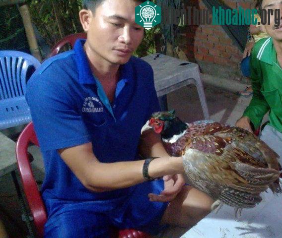 Bắt được loài chim lạ, được cho là một loài hiếm trong sách đỏ ảnh 2
