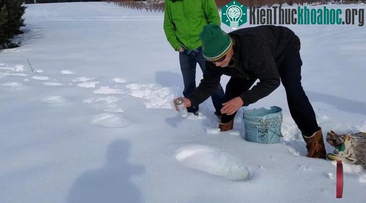 Xuất hiện một loạt dấu chân khổng lồ trên tuyết, nghi là của quái vật Bigfoot ảnh 2