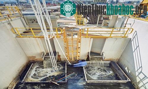Dubai xây dựng nhà máy khử nước mặn khổng lồ ảnh 2