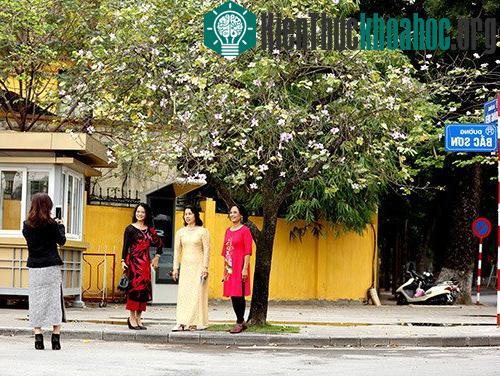 Vẻ đẹp nhẹ nhàng của hoa ban xuất hiện giữa lòng Hà Nội khiến nhiều người xao xuyến và không thể không lưu lại khoảnh khắc này.