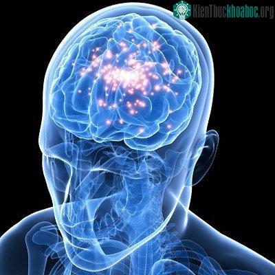 Bệnh động kinh xưa và nay.