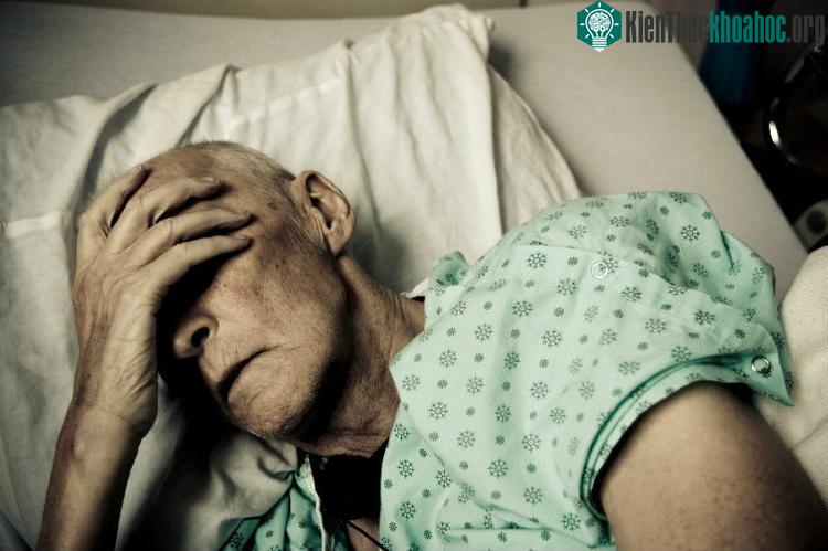 Người thường xuyên vận động thường ít có nguy cơ mắc các bệnh ung thư do cơ thể của họ có khả năng giải phóng chất lactate.