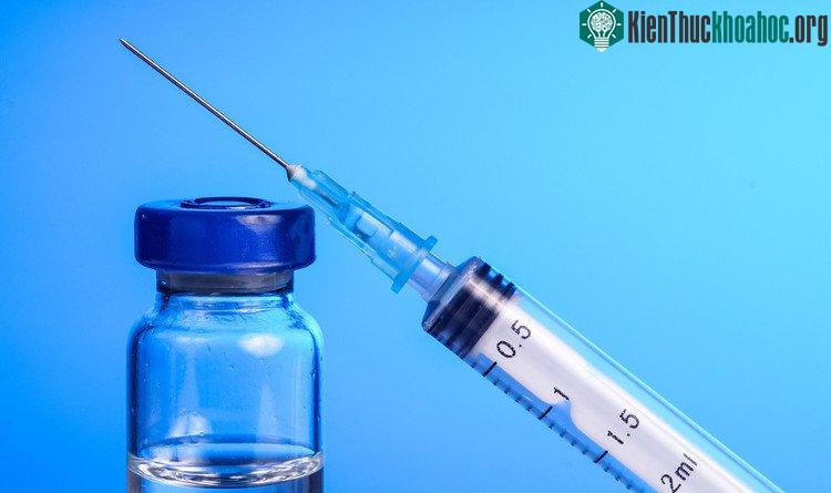 Thiến hóa học là sử dụng thuốc để kìm hãm bản năng tình dục của đối tượng.