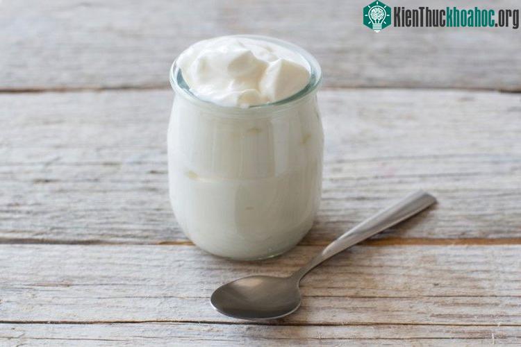 Lợi khuẩn Lactobacillus tồn tại nhiều trong sữa chua. (Ảnh: MNT).