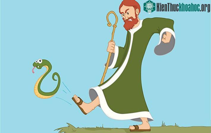 Tại nơi đây tuyệt nhiên không thấy bóng dáng con rắn nào.
