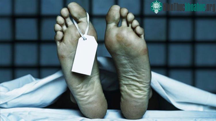 Một số xác chết nóng lên rất kỳ lạ. (Ảnh minh họa: Katarzyna Bialasiewicz).