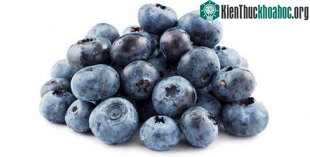 Quả việt quất (blueberry)
