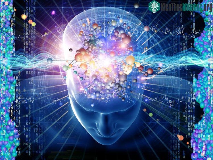 AI là một bộ phận của khoa học máy tính và do đó nó phải được đặt trên những nguyên lý lý thuyết vững chắc.