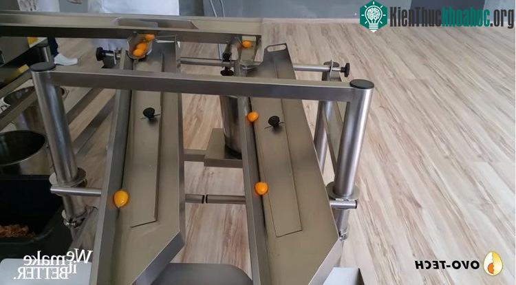 Cỗ máy tách trứng RZ-6.