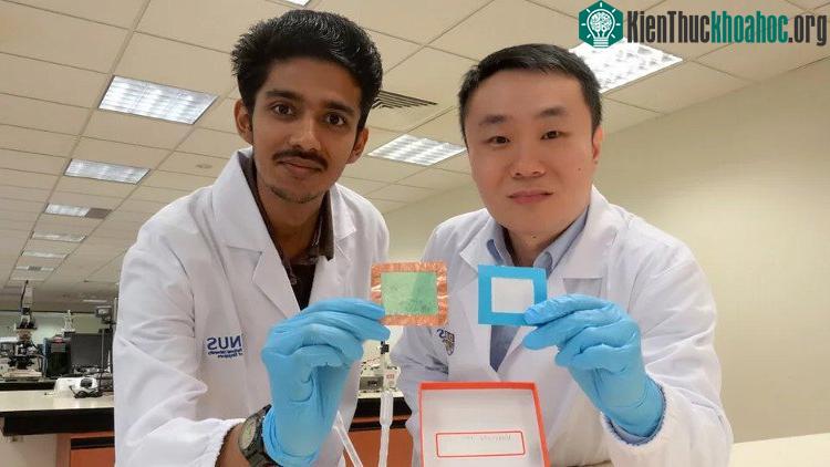 Bộ lọc không khí này khá mỏng, sử dụng giải pháp sợi nano, có khả năng loại bỏ tới 90% hạt bụi PM 2.5.