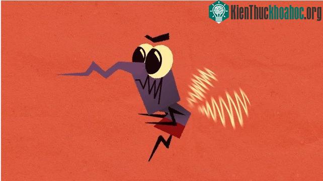 Muỗi là tác nhân làm lây truyền các bệnh nguy hiểm.