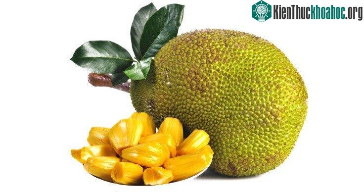 Mít chứa nhiều chất isoflavone, dinh dưỡng thực vật, lignans và saponin.
