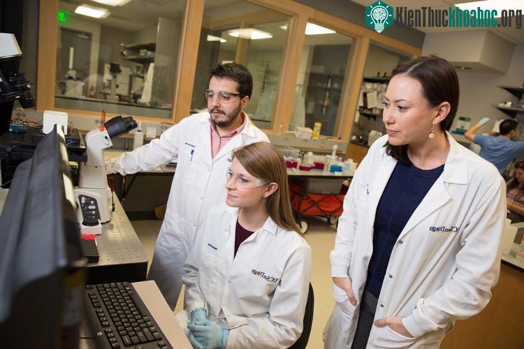 "DNA nhiễm khuẩn có mặt trên mọi thứ và lây nhiễm mọi nơi", Stephanie Fraley cho biết.