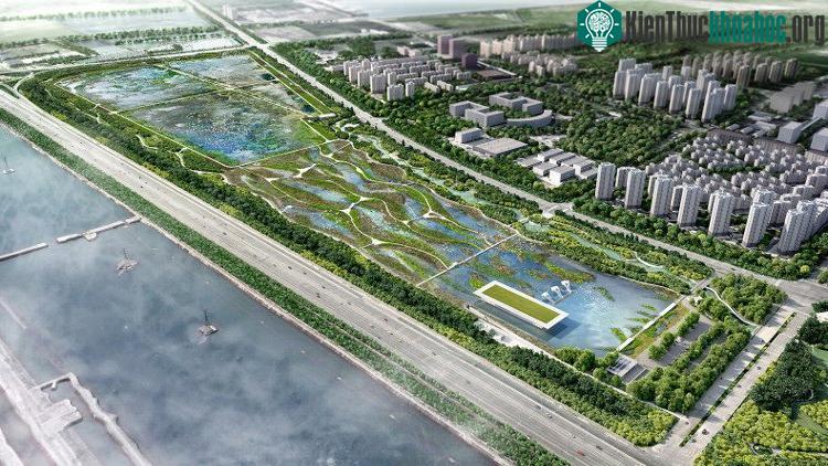 Khu bảo tồn Chim Thiên Tân, Trung Quốc. (Ảnh: McGregor Coxall).