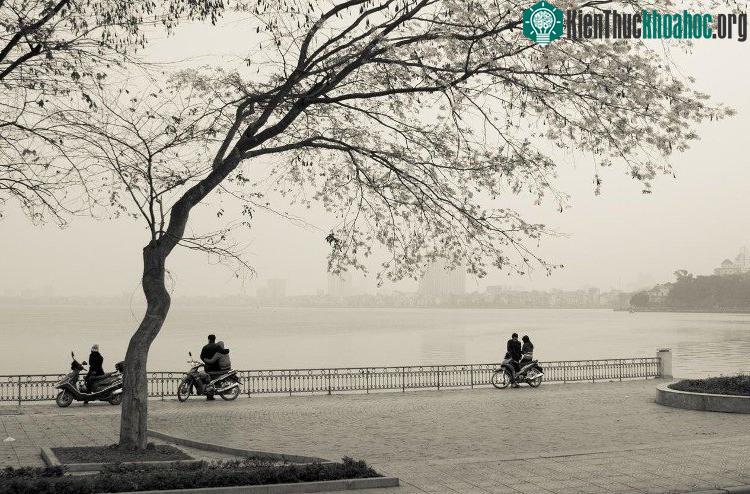 Từ chiều tối nay các tỉnh miền Bắc chuyển mưa rét. (Ảnh minh họa).