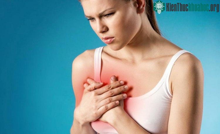 Tim đập được đó là nhờ thủy lực.