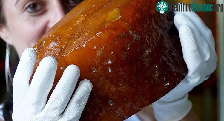 Khối hổ phách nặng 2,36kg mới được tìm thấy.