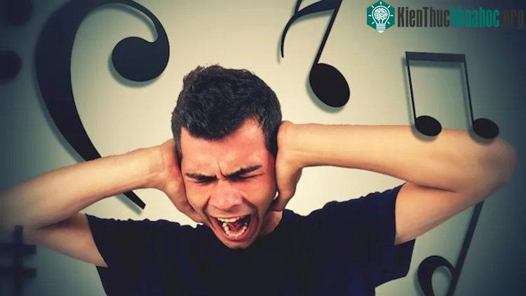 Có nhiều người cảm thấy phiền toái vì không thể được "yên tĩnh".