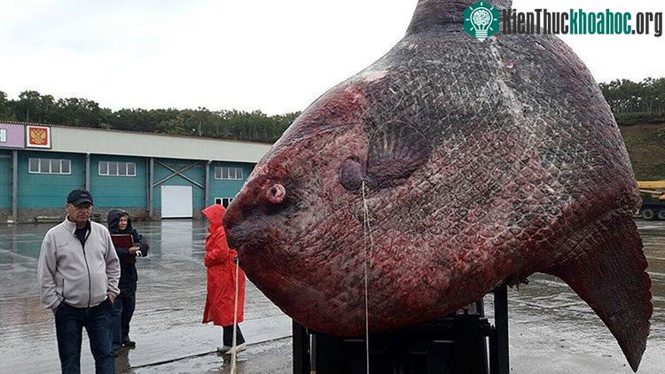 Các nhà khảo cổ học phát hiện một khu huyệt chứa hai ngôi mộ, trong đó có một ngôi mộ hình kim tự tháp