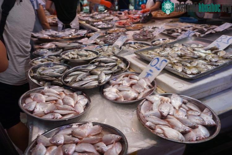Cá tuyết có thể nhanh "bốc mùi" hơn so với cá da trơn thông thường.