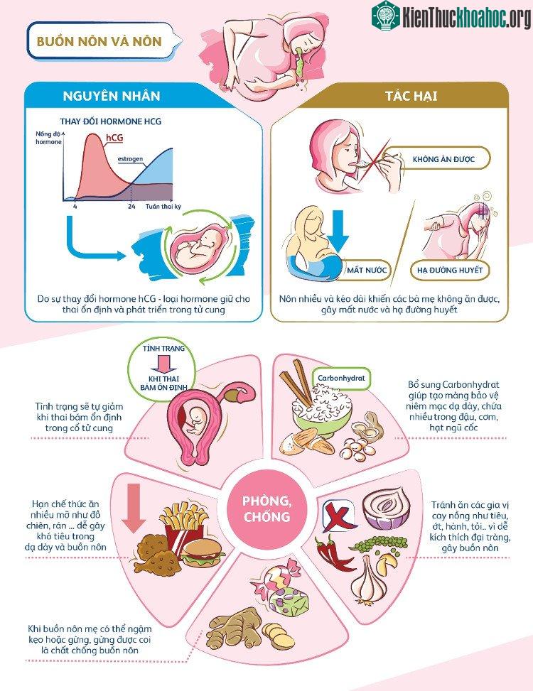 Tránh ăn gia vị cay nồng, đồ ăn nhiều dầu mỡ... để làm giảm bớt cảm giác buồn nôn và nôn khi ốm nghén.