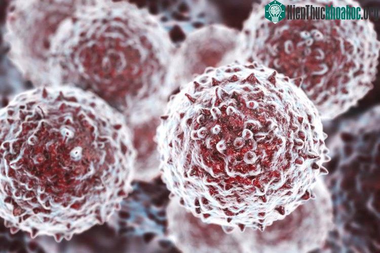 Nhật Bản đang có những kế hoạch để khiến cho việc hiến tặng tế bào gốc trở nên phổ biến hơn.