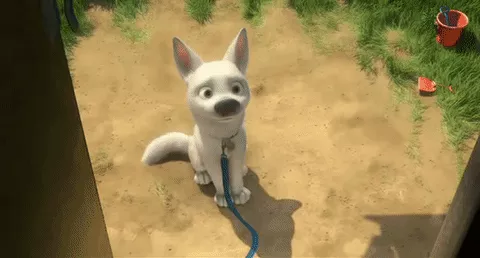 Đáng yêu thế này thì ai mà nỡ từ chối chứ.