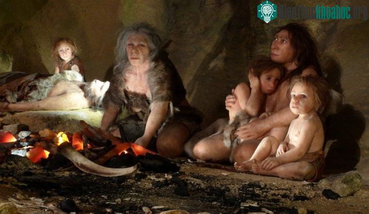 Bằng chứng về hành vi ăn thịt đồng loại ở người được tìm thấy ở một số di chỉ tiền sử. (Ảnh: Reuters).