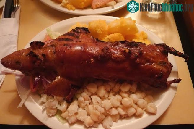 Món chuột lang nướng nguyên con ở Peru. (Ảnh: EaterNY).