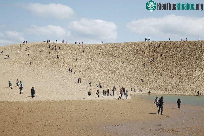 Cồn cát dài vô tận ở Tottori.