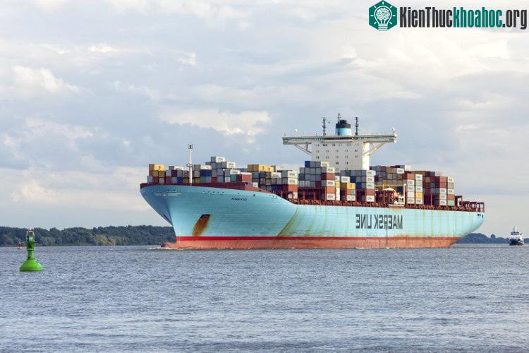 Tàu thuyền có thể chạy nhanh hơn nhờ giảm được lực cản của nước.