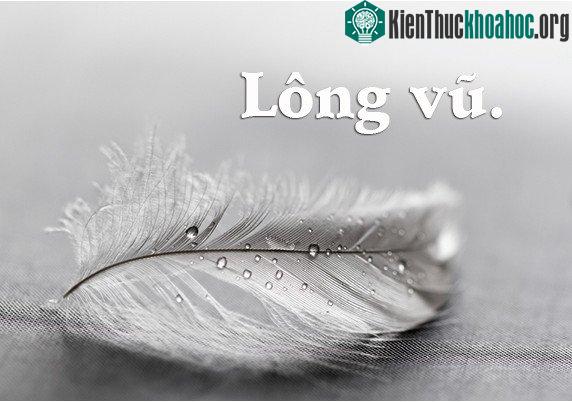 6 câu đố dành cho con nít nhưng không ít người lớn phải "giơ tay xin hàng" ảnh 1