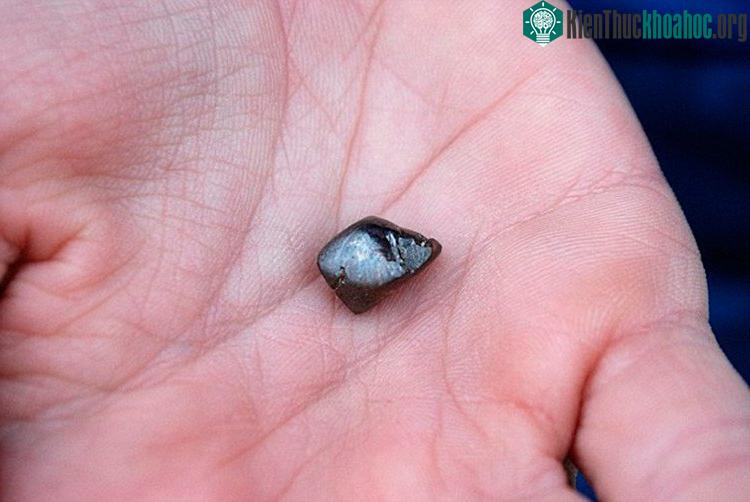 Viên kim cương có kích cỡ hạt đậu và mang màu hạt cà phê lạ mắt. Trông nó không khác gì mấy những viên đá cuội thông thường.