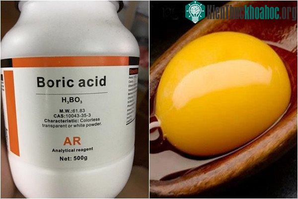 Nguyên liệu diệt gián lần này gồm Axit boric và lòng đỏ trứng gà.
