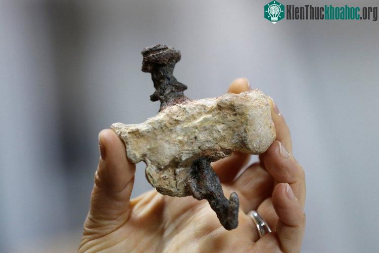 Bản sao của xương gót chân bị đinh đóng xuyên qua từ thế kỷ I, là bằng chứng duy nhất được tìm thấy về hình phạt đóng đinh thời Chúa Jesus.