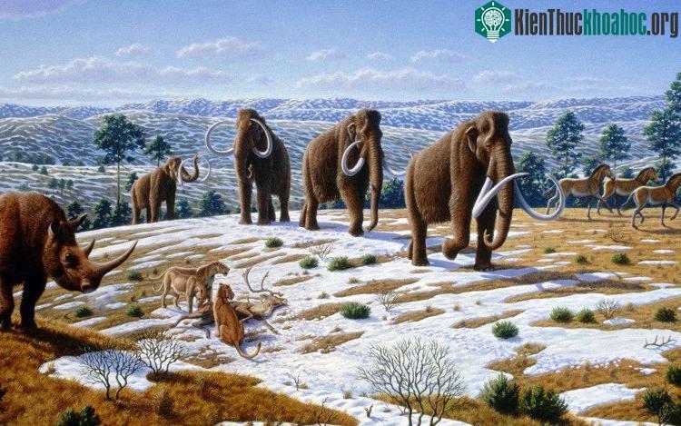 Nhiều loài động vật không hề có tổ tiên