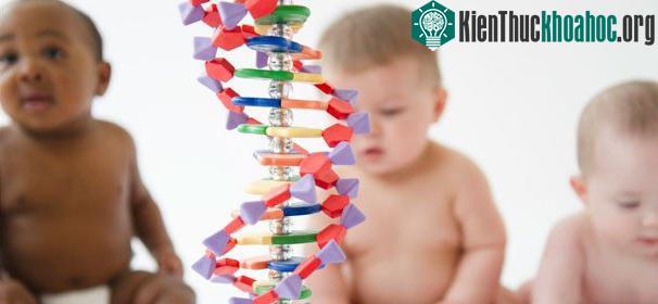 Có đột biến gene tương đồng nhưng tự kỷ và thần đồng có liên hệ thần kinh khác nhau. (Ảnh: parade.)