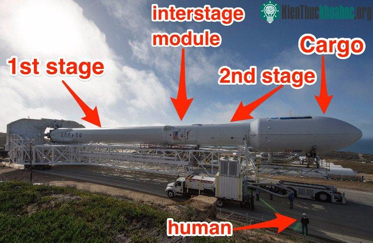 Tên lửa Falcon 9 sẽ sử dụng tới 9 động cơ tên lửa đẩy để có thể bay vào quỹ đạo Trái đất.