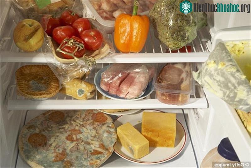 Nguồn thực phẩm từ thịt của những sinh vật đã già sẽ làm tăng tốc quá trình lão hóa ở cấp độ tế bào.
