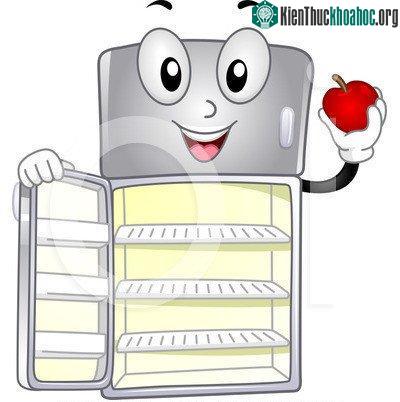 Chiếc tủ lạnh đầu tiên được đã được đặt tại một nhà máy bia ở Brooklyn, New York, vào năm 1870.