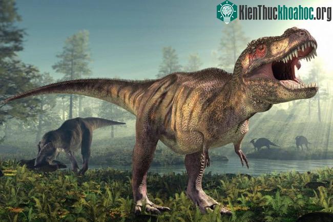T-rex có một cái mũi cực kỳ nhạy cảm