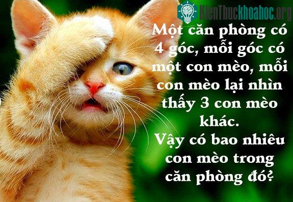 6 câu đố dành cho con nít nhưng không ít người lớn phải "giơ tay xin hàng" ảnh 10