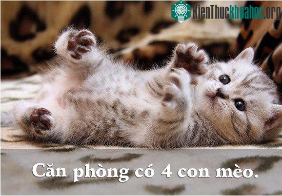 6 câu đố dành cho con nít nhưng không ít người lớn phải "giơ tay xin hàng"